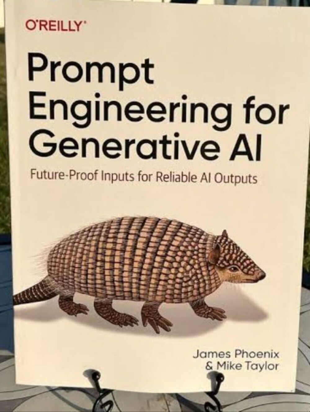 Prompt Engineering for Generative AI Future Proof Inputs Book Phoenix Taylor
